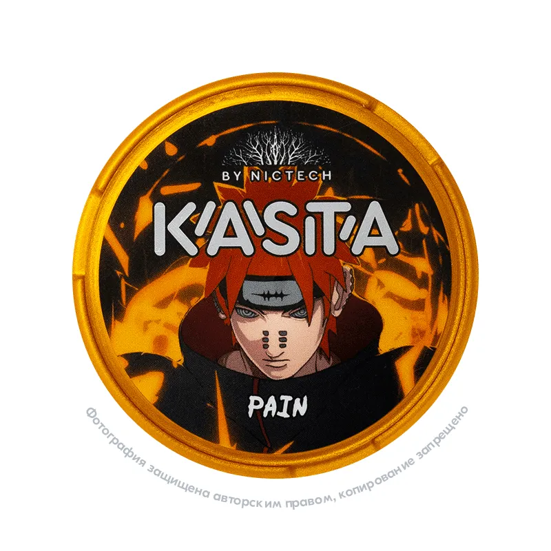 Снюс Kasta Anime Pain, 120 мг/г, крыжовник и мята, slim portion